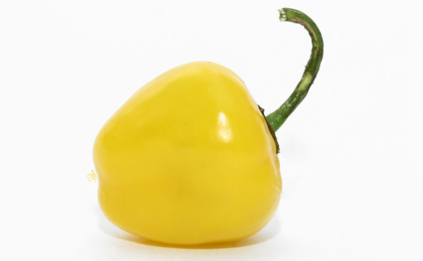 Costa Rican Yellow Rocoto Pepper