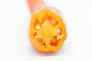 aji-amarillo-02